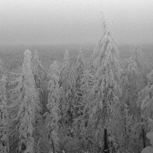 Vintlechkeit : Likene i Snøen...